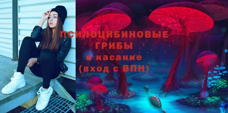 цена наркотик Адыгейск Галлюциногенные грибы прущие грибы
